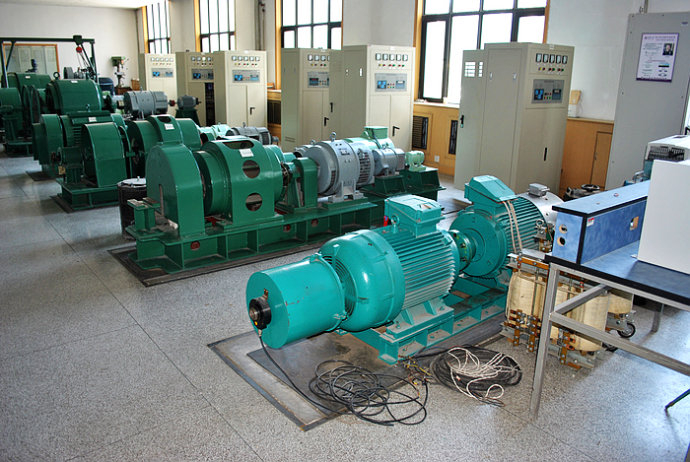 Y8008-8某热电厂使用我厂的YKK高压电机提供动力
