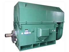 Y8008-8Y系列6KV高压电机